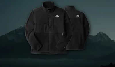 The North Face Denali Fleecejacke.jpg