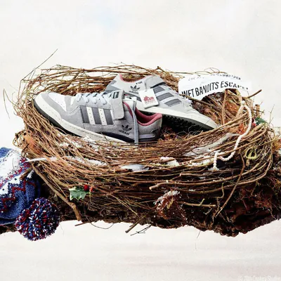 Home Alone 2 x adidas Originals Forum Low Pigeon Lady ID4328