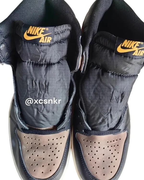 Nike Air Jordan 1 High Retro Palomino