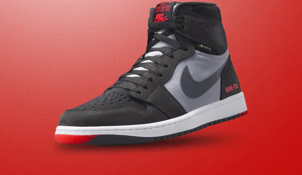 DB2889_002-Nike Air Jordan 1 Element Gore-Tex Bred.jpg