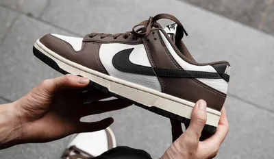 Nike Dunk Low Next Nature Premium Cacao Wow HF4292-200 c.png