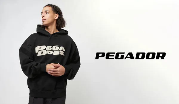 Pegador Hoodie web.png