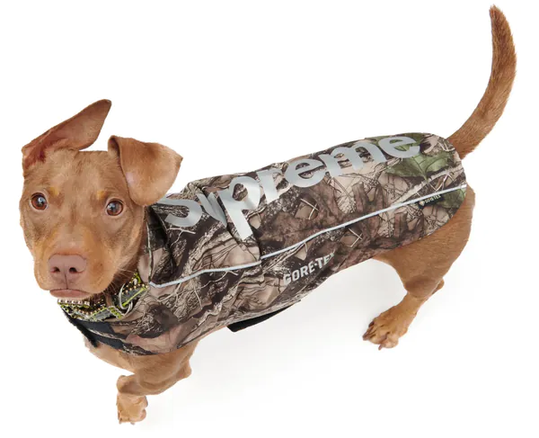 Gore-Tex Dog Jacket8a549ff87d8b9a3f207dc121c3a742c44be0a104-2217x1800.jpg.jpg