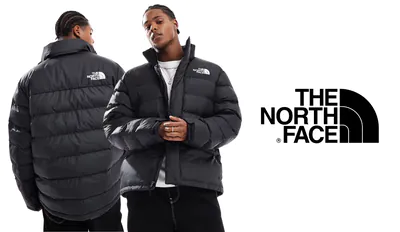 tnf limbara jacket.png