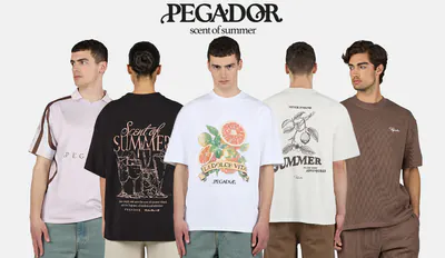 pegadorscnetofsummer1.png