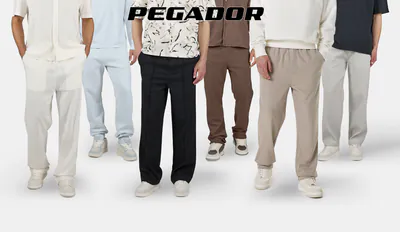 pegador (1).png