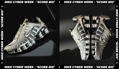Nike Shox TL Wolf Grey bfs.png