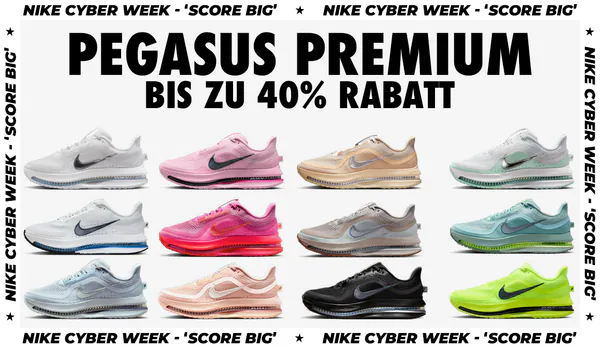 snkr-nike pegasus premuim.jpg