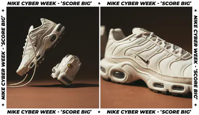 Nike Air Max Plus Light Orewood Brown bfs.png