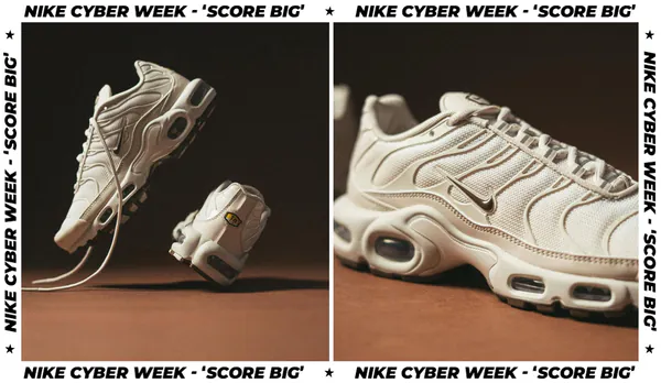Nike Air Max Plus Light Orewood Brown bfs.png