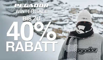 pegadorwintersale-cov.png