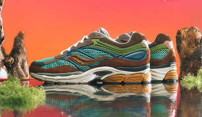 Sneaker Politics x Saucony Progrid Omni 9 Sportsmans Paradise menu2.png