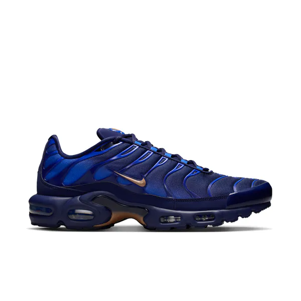 nike-air-max-plus-french-football-federation-iq0170-400-1.png