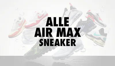 cover-air-max-sneaker-1.jpg