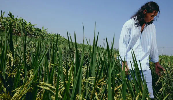 Carhartt WIP Last Light menu2.png