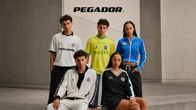 cover pegador wc capsule.png