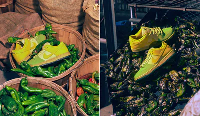 nikesbdunkhatchchilli-snkr.png