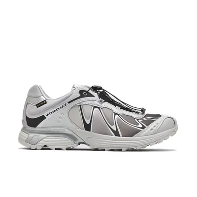 salomon-xt-whisper-gore-tex-silver-l49192300-1.png