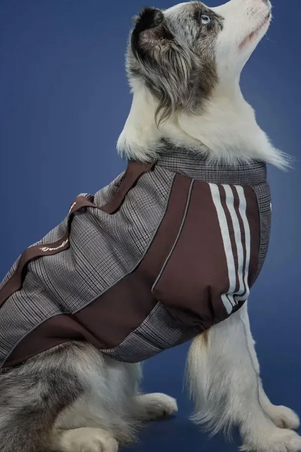 adidas Pet Collection 2026 BLOG6.jpeg
