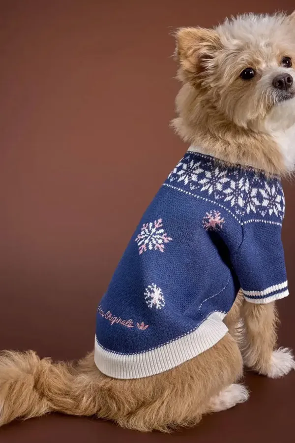 adidas Pet Collection 2026 BLOG7.jpeg