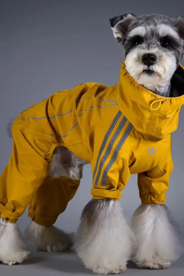 adidas Pet Collection 2026 BLOG8.jpeg