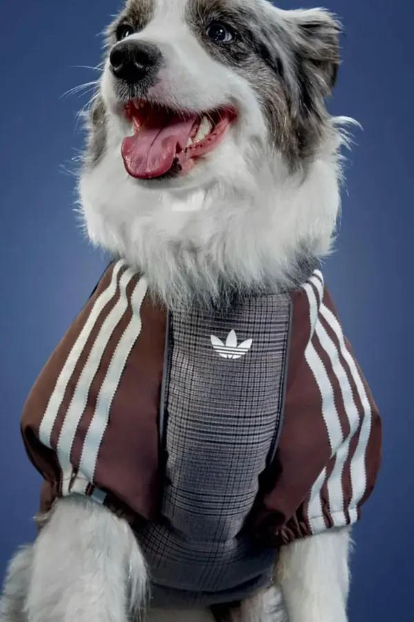 adidas Pet Collection 2026 BLOG11.jpeg