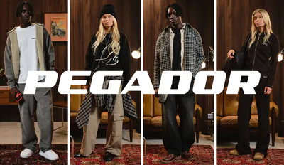 Pegador m2 snkr.png